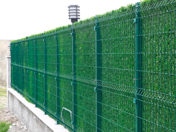 panel-cit